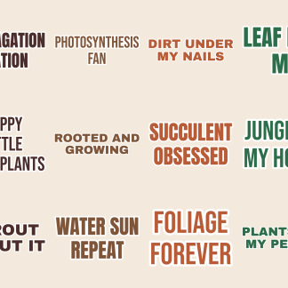 Plant Lover Vol 2 Sticker Pack — 12 New Leafy Quotes