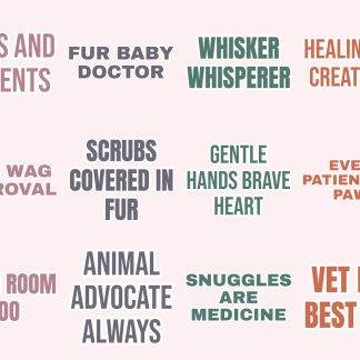 Vet Life Sticker Pack — 12 Animal Care Quotes