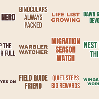 Birdwatcher Life Sticker Pack — 12 Field Guide Quotes